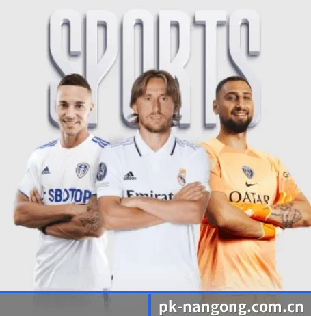 pk-nangong.com.cn的方向