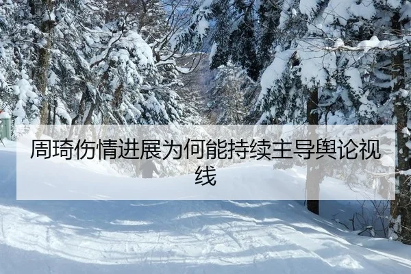 zhou-qi-shang-qing-jin-zhan-wei-he-neng-chi-xu-zhu-dao-yu-lun-shi-xian-2-545.jpg